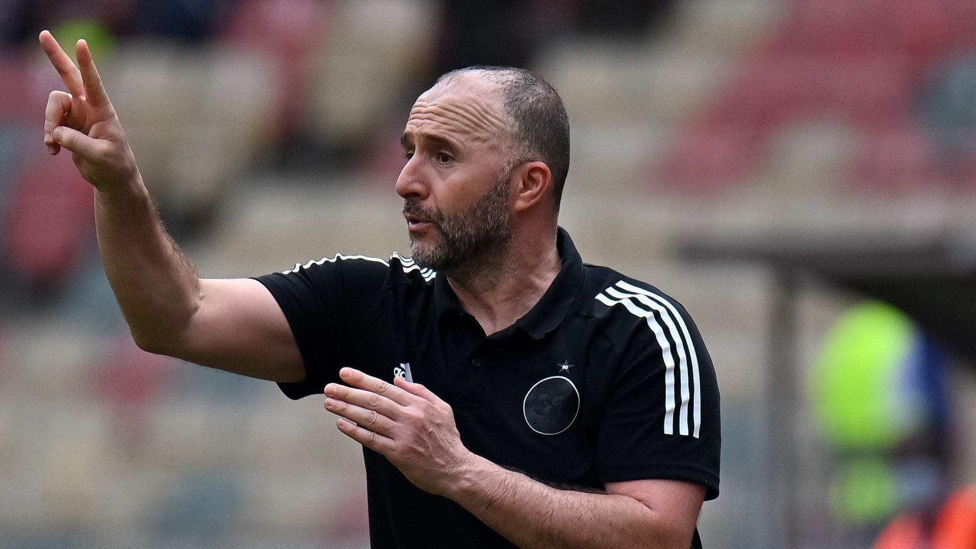 Djamel Belmadi dit ses vérités sur Mahrez, Belaïli et Aouar