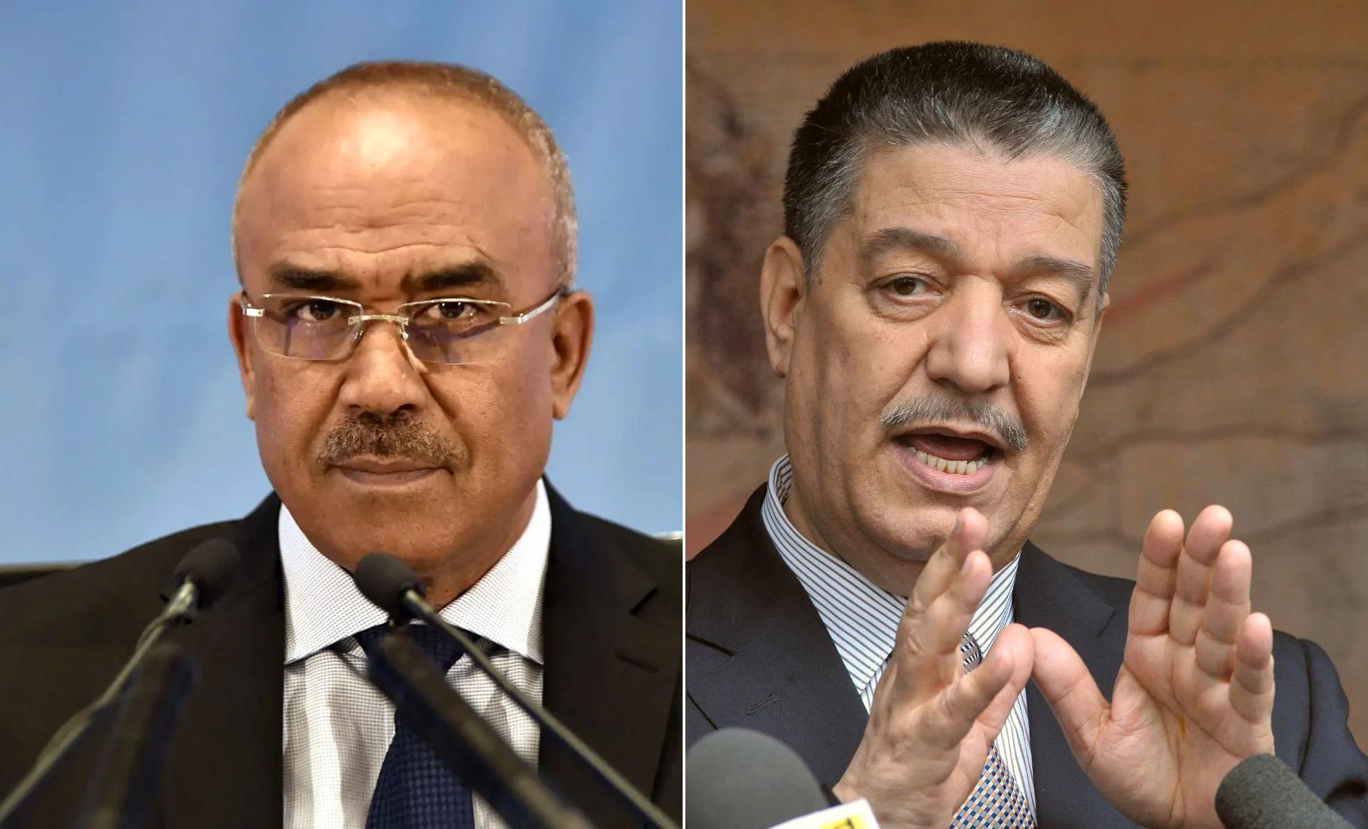 Outre les BRICS, l'Algérie  veut se joindre à une nouvelle organisation.