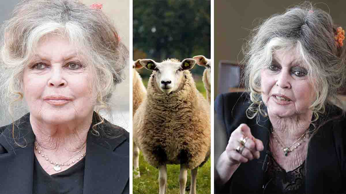 L'Aïd el-Kebir est une fête ignoble selon Brigitte Bardot  aid-el-kebir-brigitte