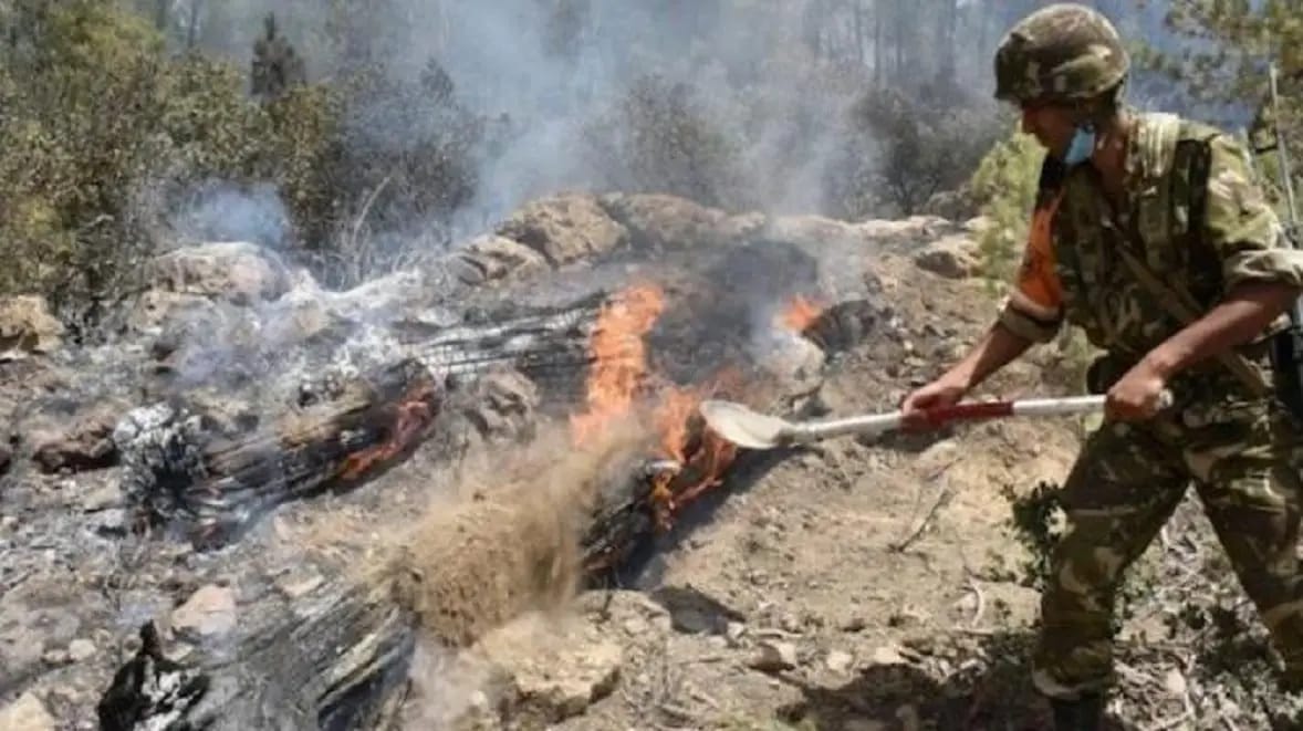 Incendies en Algérie : le triste épisode d'un gendarme