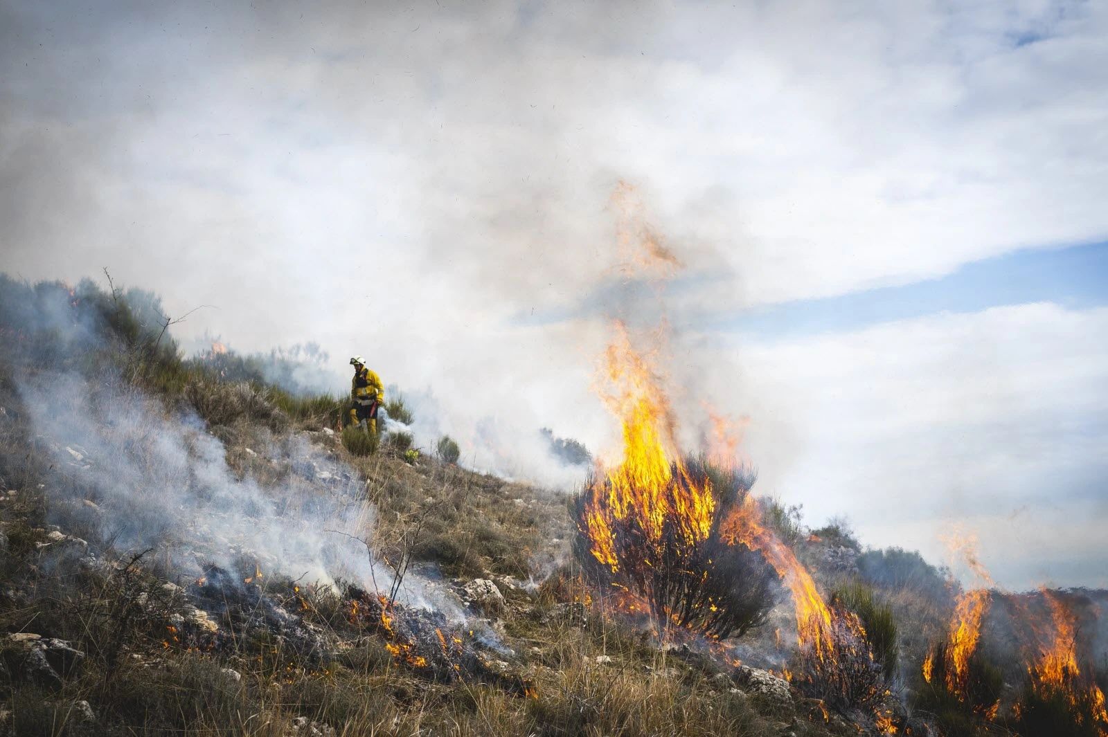 Algérie en vigilance maximale contre les incendies : 20 000 pompiers, avions et drones déployés sur le front du feu