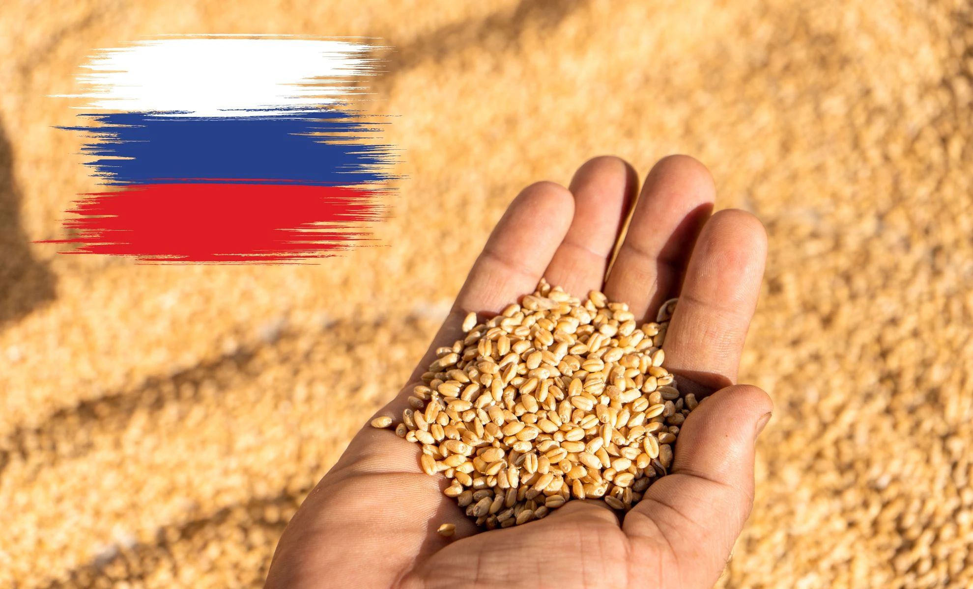 Importation du blé Russe