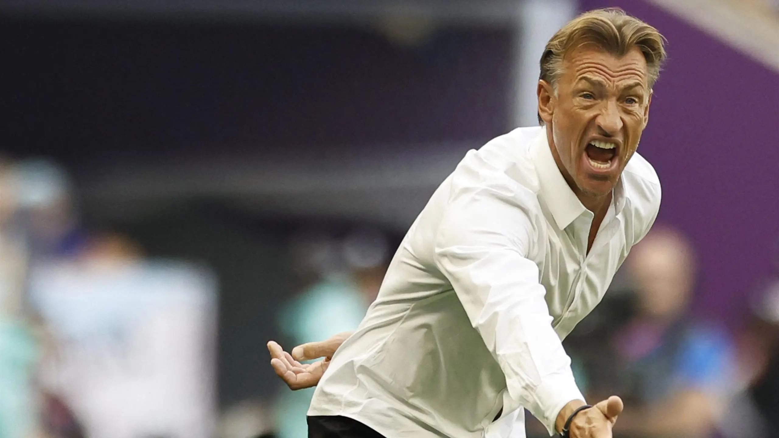 Hervé Renard, partage son lien spécial avec la légende Zidane