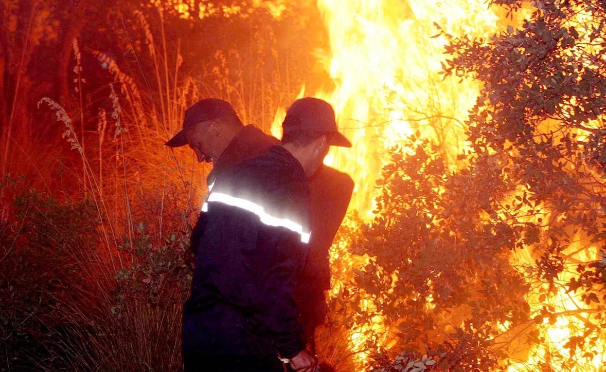 Feux de forêts en Algérie : Le cauchemar continue, 6 wilayas touchées le 26 septembre 2024