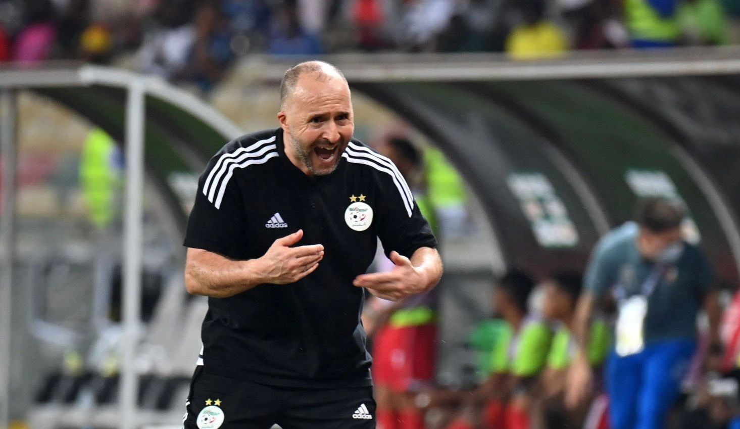 L'énorme colère de Djamel Belmadi  contre  la FAF à cause de .....