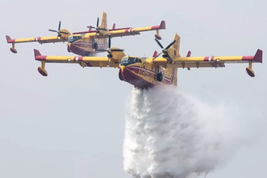 Algérie : La télévision étatique amène de force un Canadair marocain
