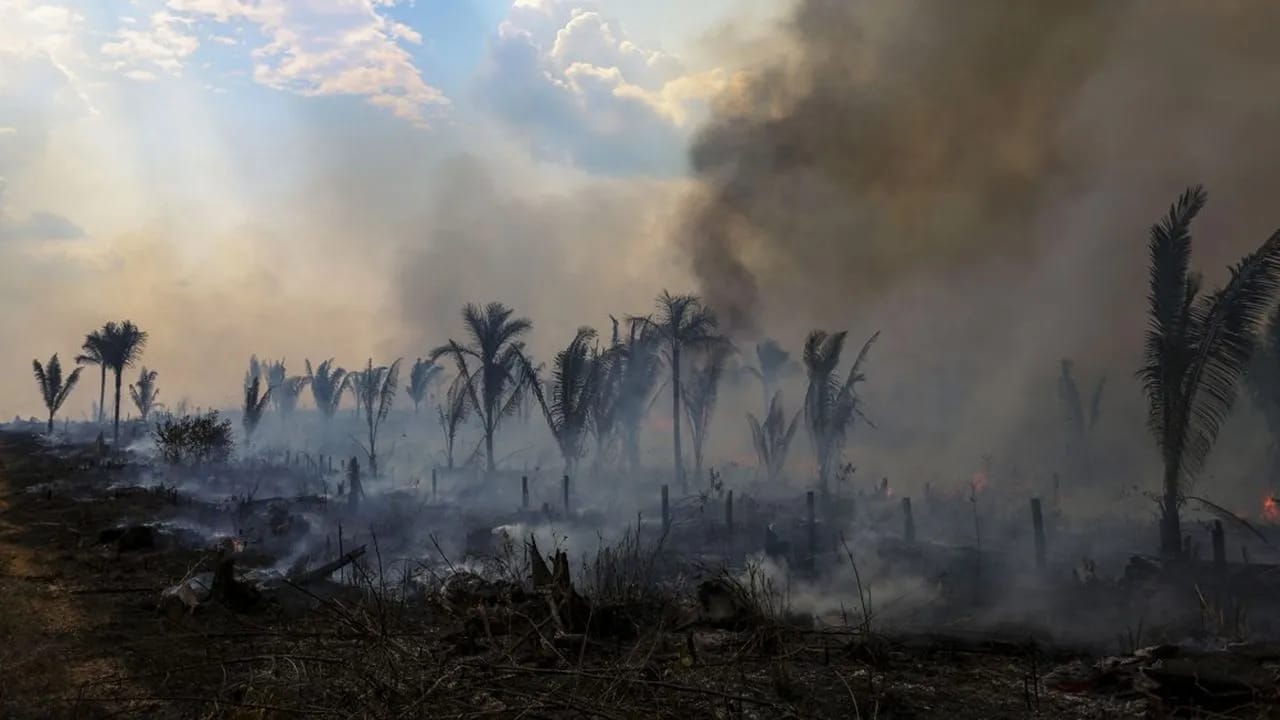 Lutte contre le réchauffement de la planète : Les pays amazoniens créent une alliance contre la déforestation