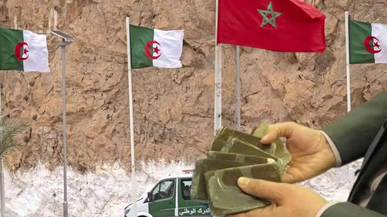 Saisie de drogue à la frontière algéro-marocaine