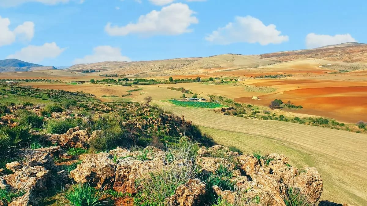 Blocages administratifs entravant l'investissement agricole en Algérie