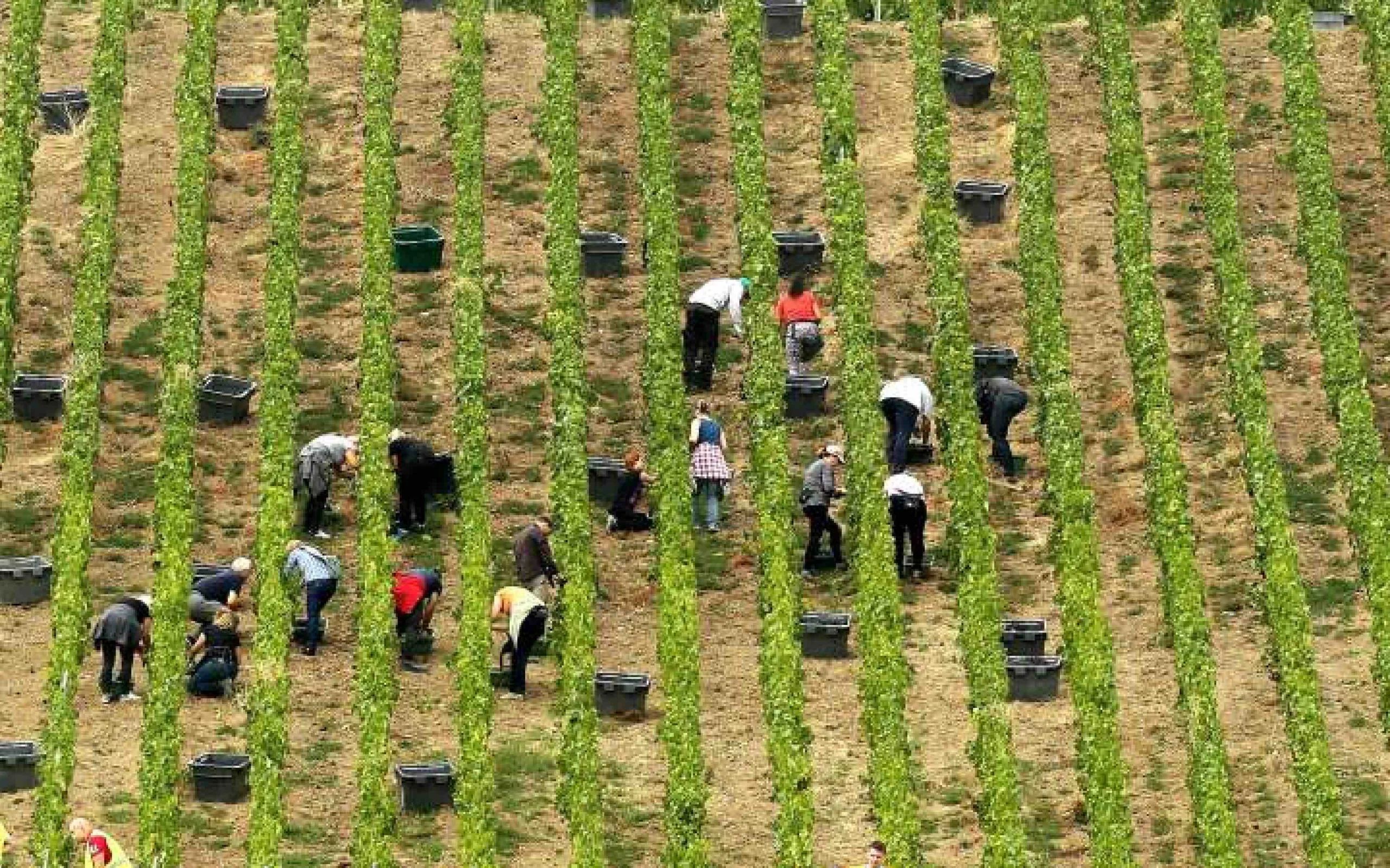 Esclavage en France: une ressortissante marocaine porte plainte pour...