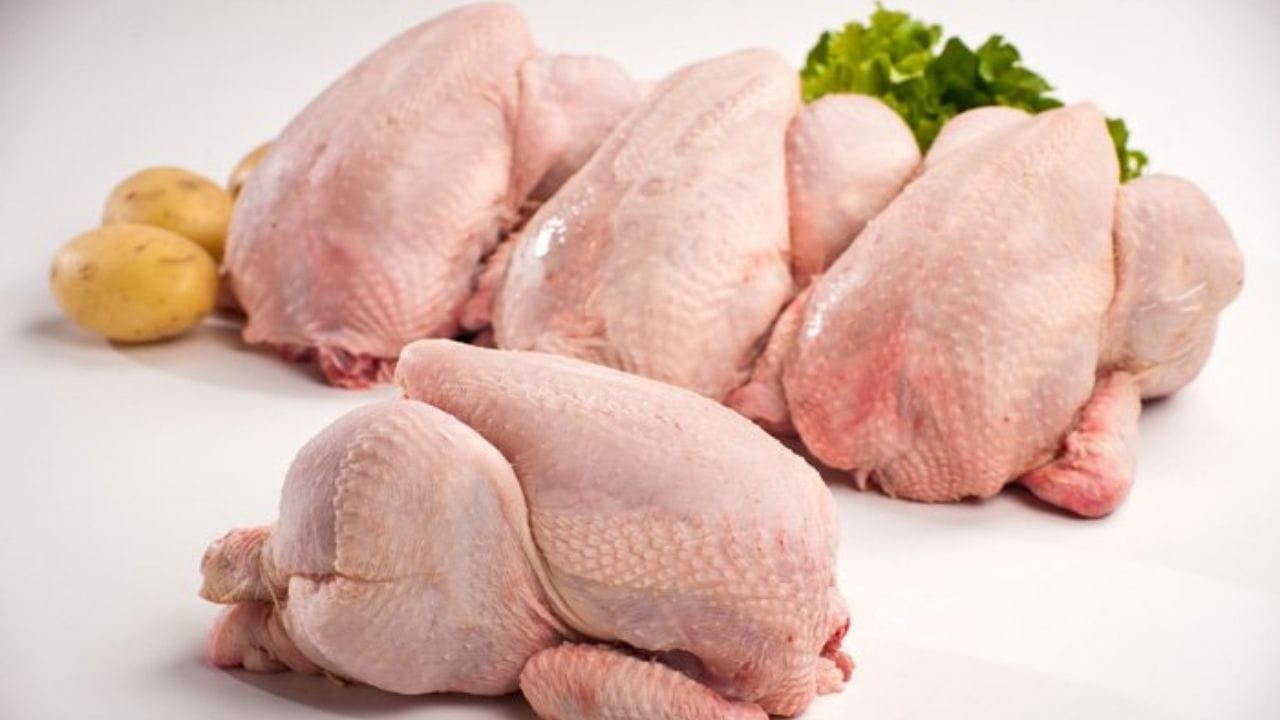 Algérie : Pourquoi le prix du poulet atteint des sommets Incontrôlables?