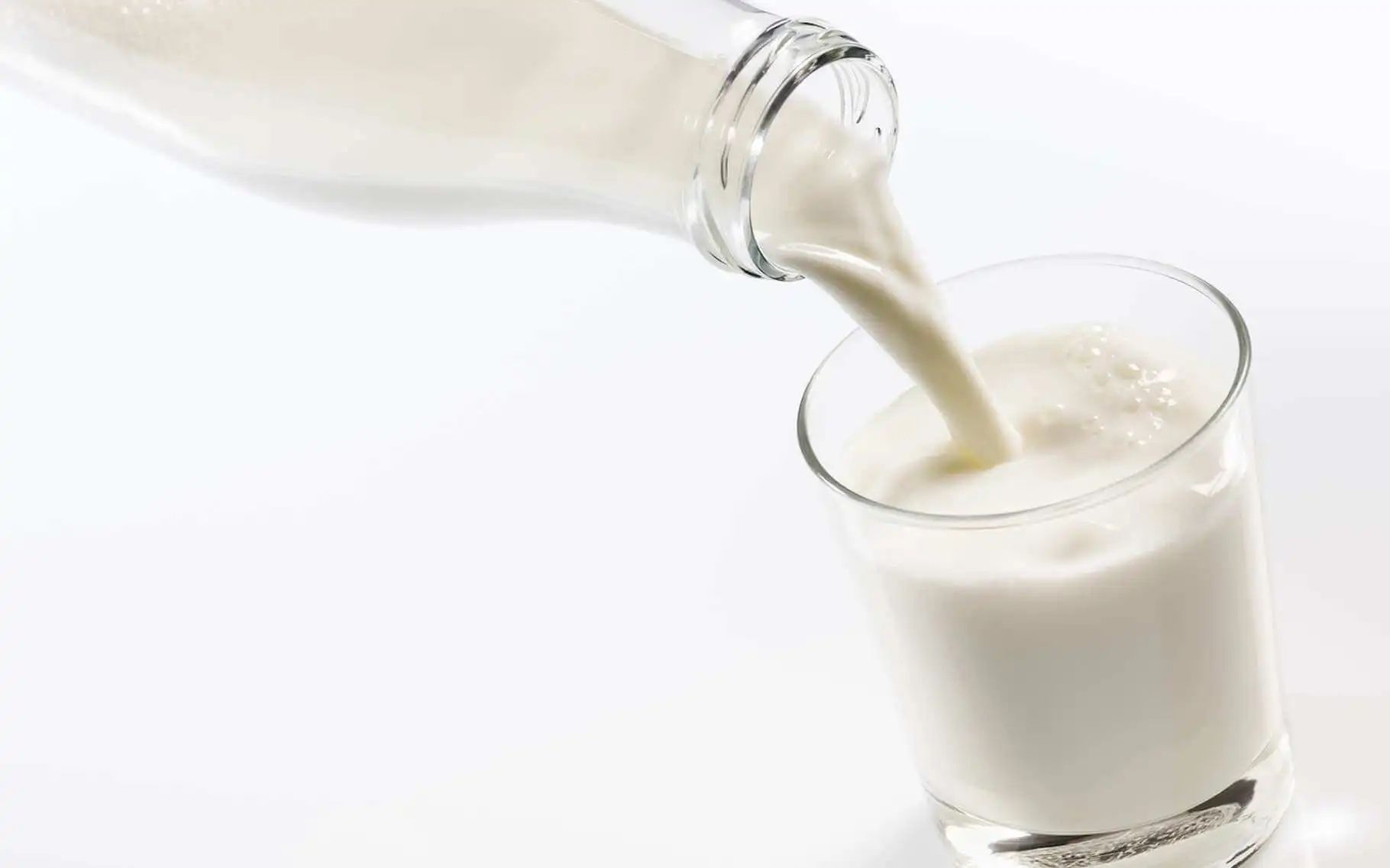 Production de lait cru : l’Algérie en route vers une autosuffisance