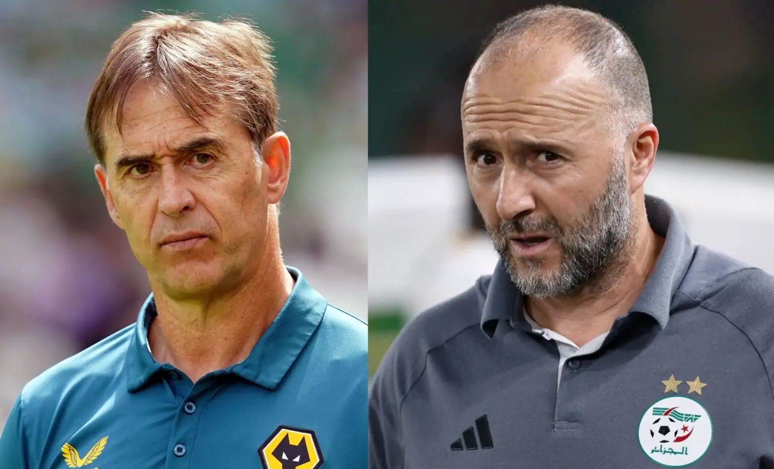 Un Espagnol pour remplacer Djamel Belmadi ?
