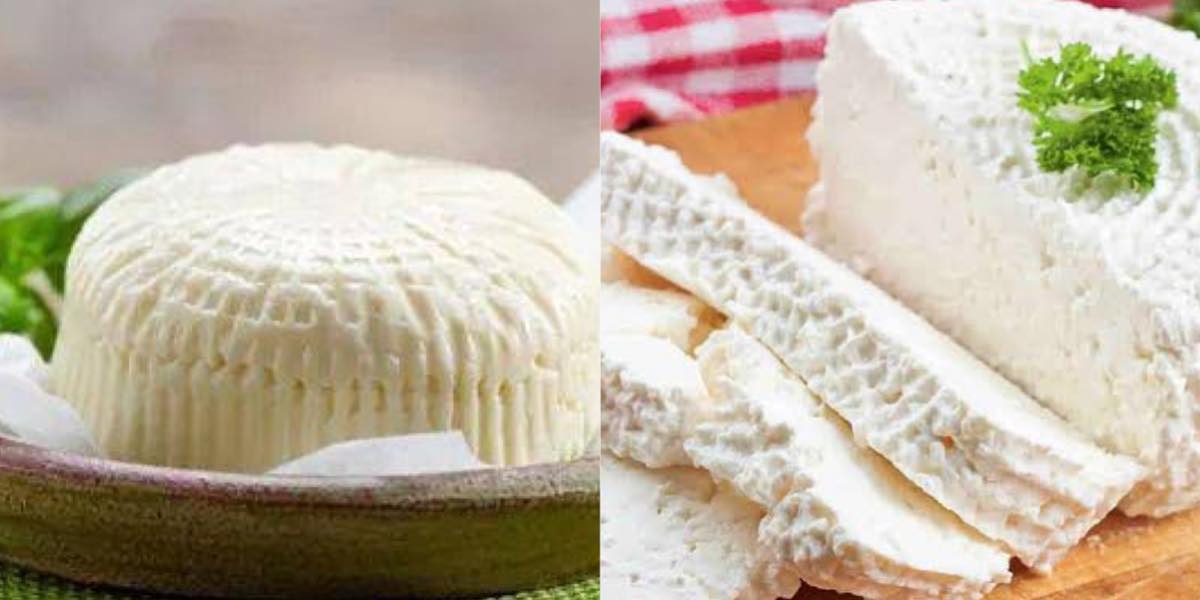Découvrez le monde des fromages en Algérie : comment distinguer le vrai du faux !
