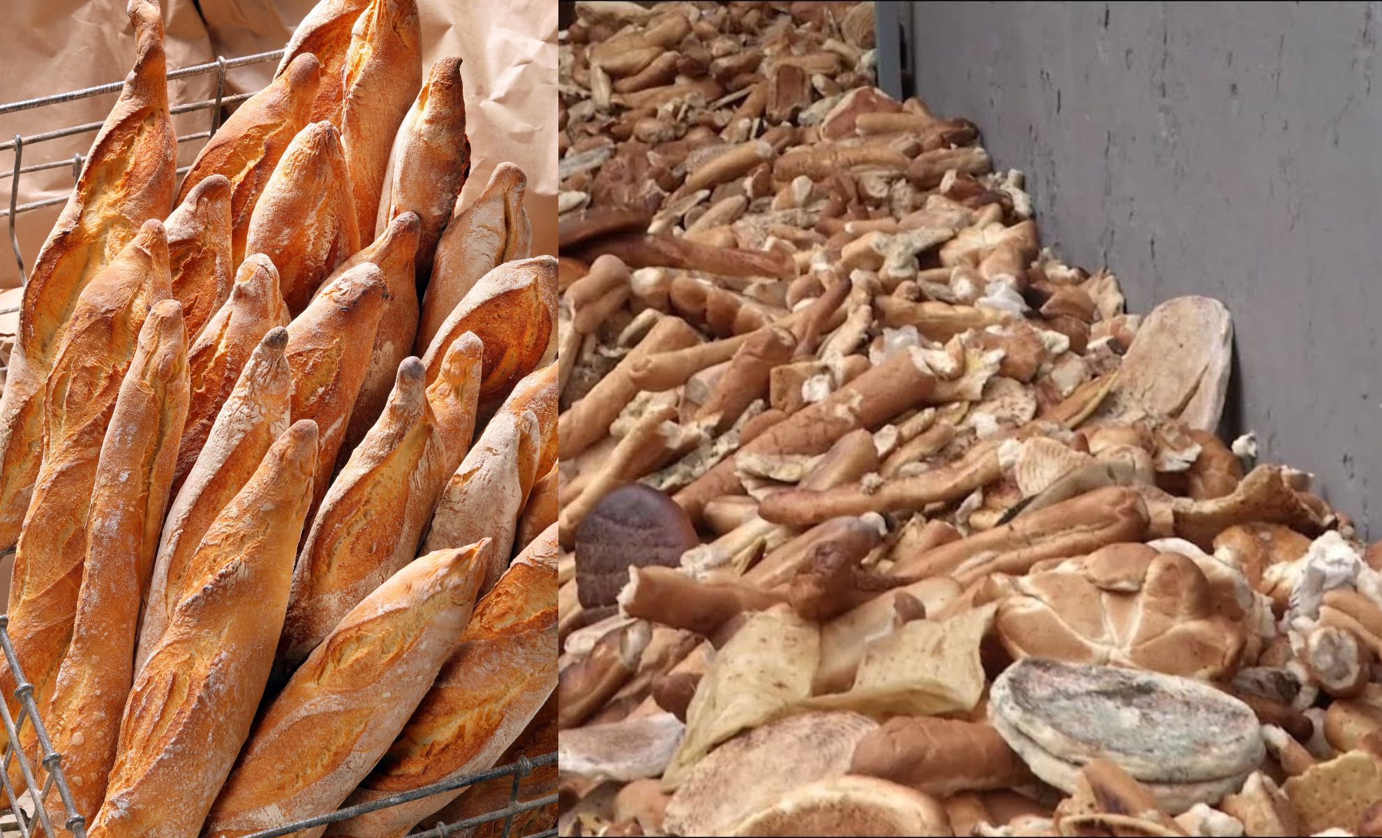 Algérie : 900 millions de baguettes de pain jetées par an, gaspillage alimentaire