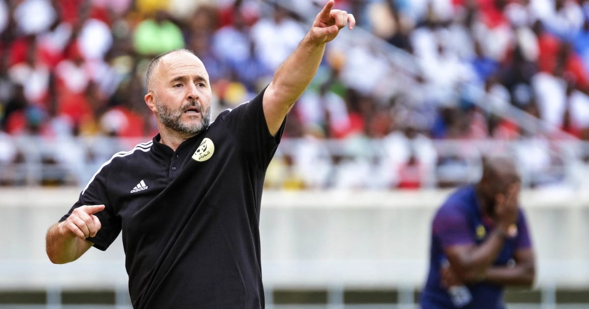 Algérie : Djamel Belmadi au pays !