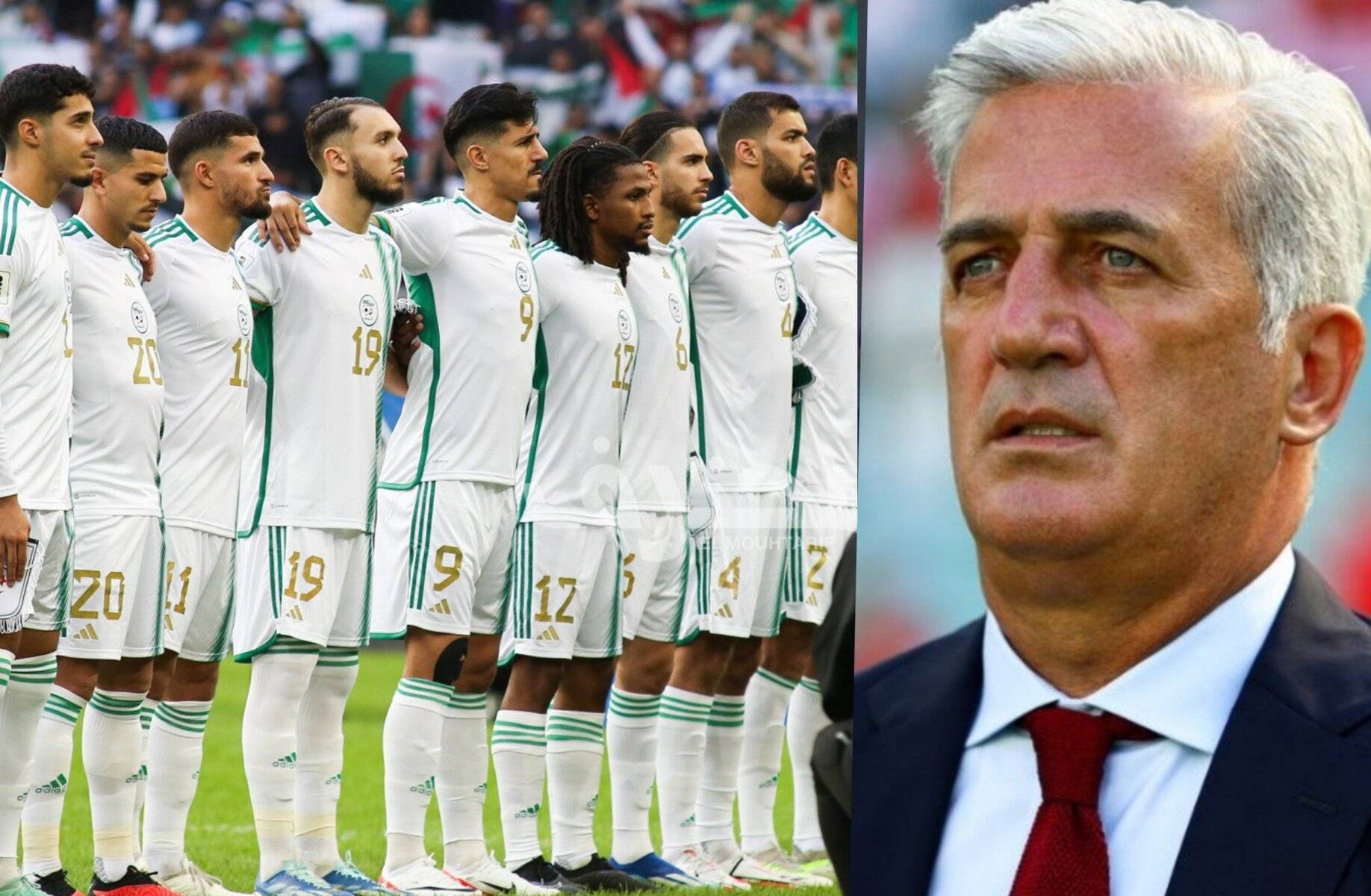 Vladimir Petkovic tranche net sur le match Algérie-Maroc !