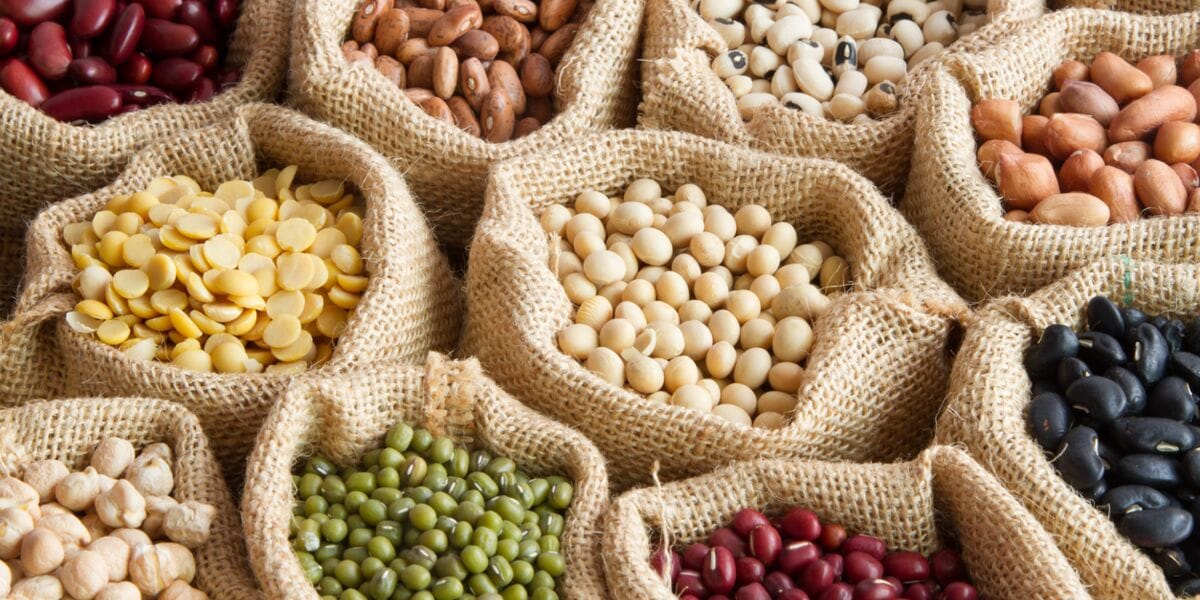 Baisse des Prix des Légumes Secs : Annonce de l'OAIC avec les Nouveaux Tarifs