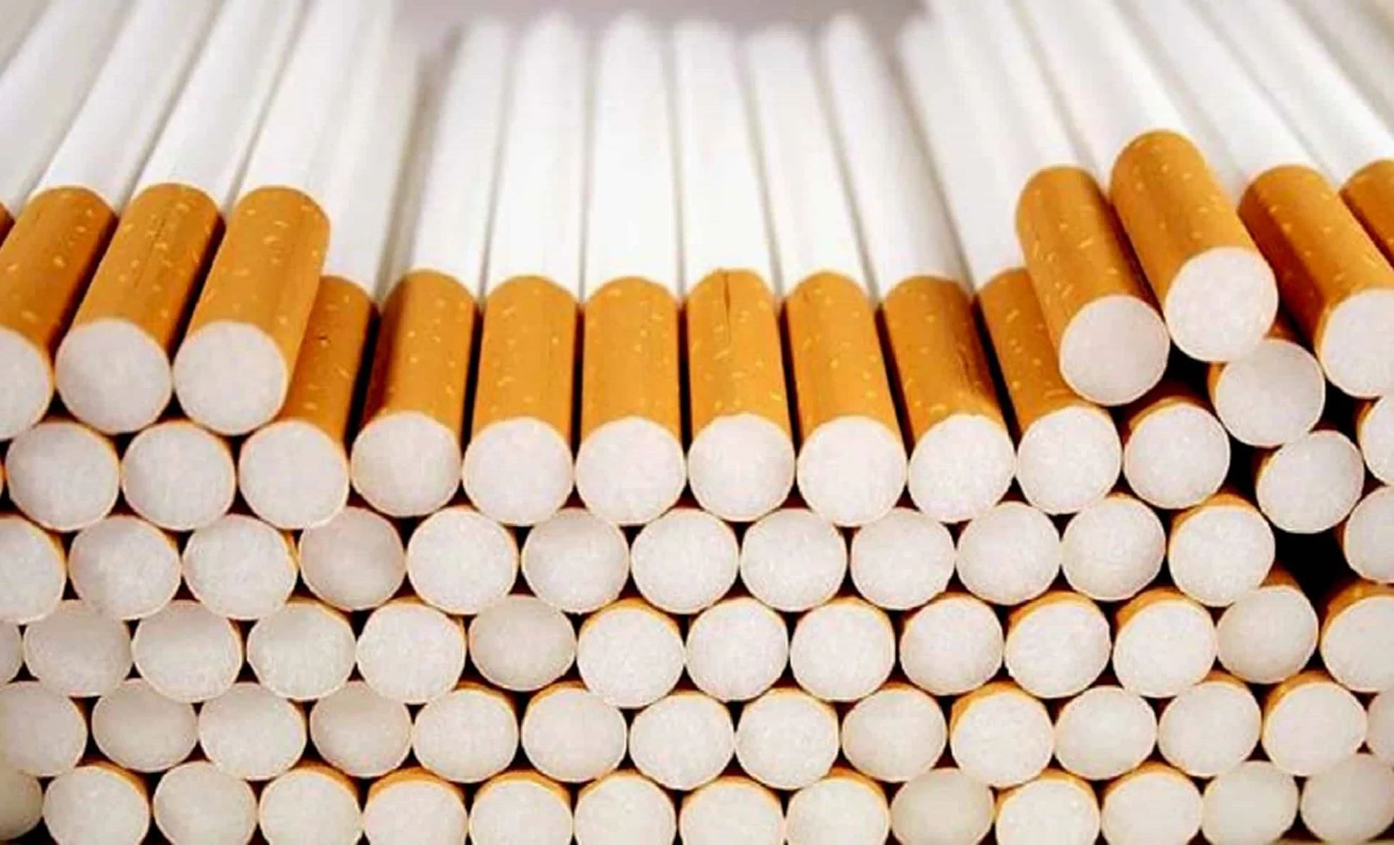 Un Algérien arrêté en France avec 250 kg de cigarettes de contrebande