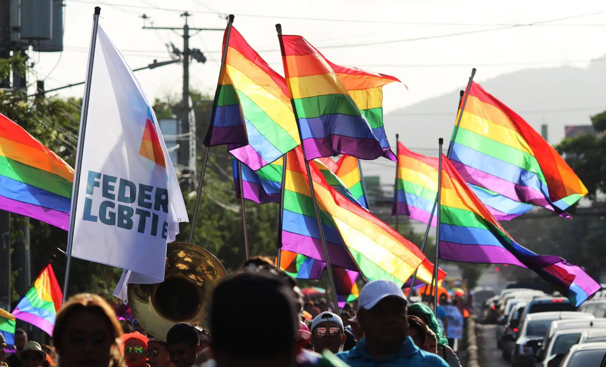 Lutte contre l'homophobie
