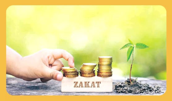 Nouvel An Musulman 1446 : le montant du Nissab de la Zakat al-Maal fixé par la Grande Mosquée de Paris 