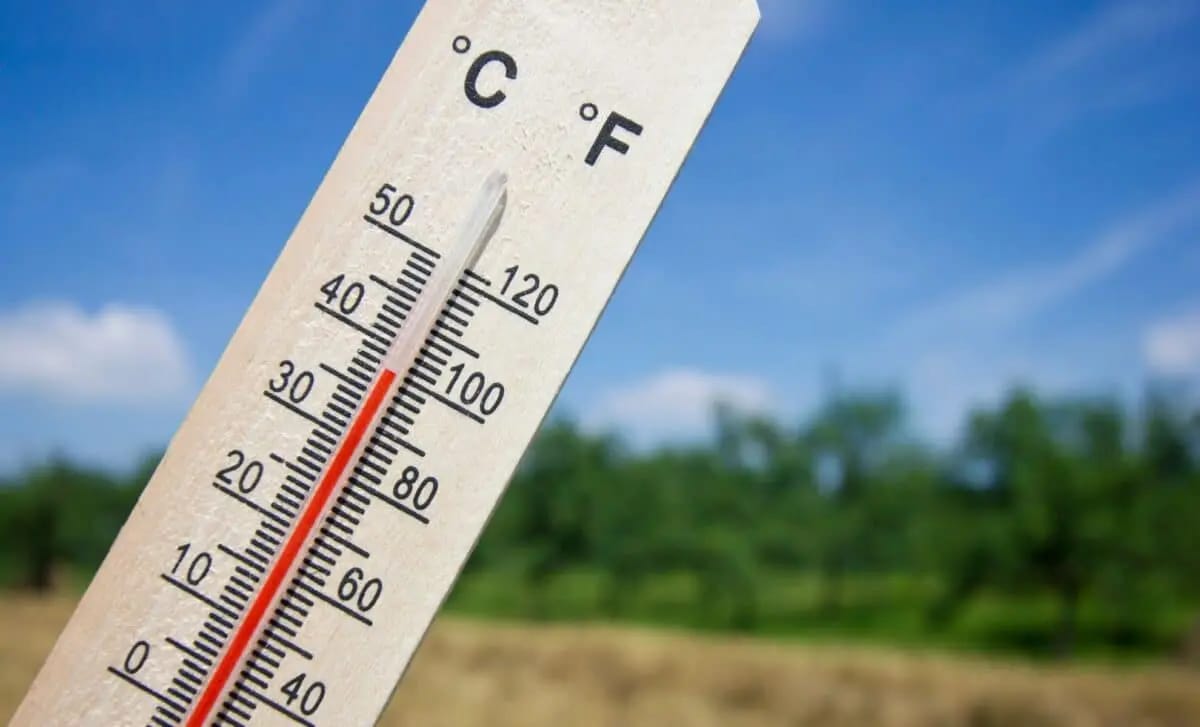 Météo Algérie du 19 Août : Retour de la Chaleur Estivale