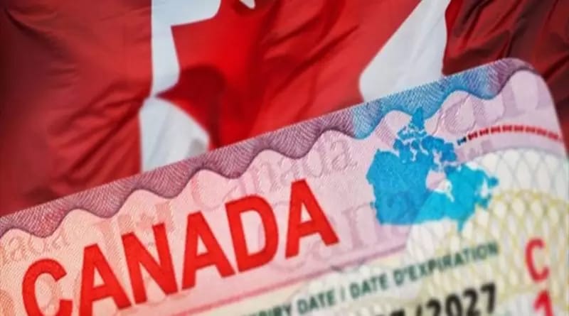 Canada : Réduction à 28 jours des délais de visa pour les Algériens