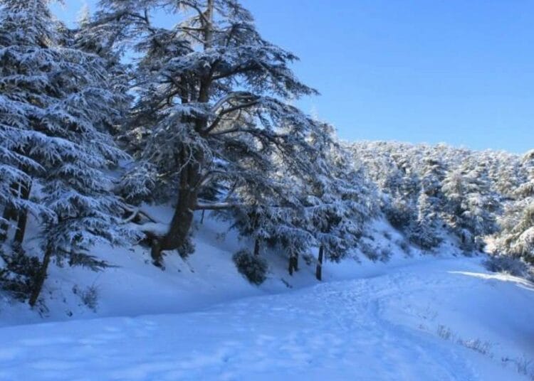 Neige, vents violents et pluies intenses : l’Algérie sous alerte météo ce week-end L’Algérie sous alerte météo ce week-end