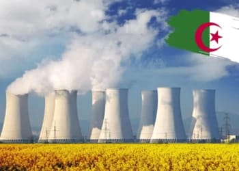 Energie lAlgerie vise lintroduction de lelectronucleaire civil dans la production de lelectricite 3