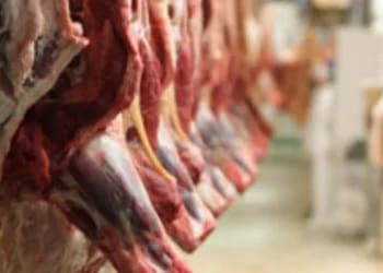 Préparatifs du Ramadan 2025 : 28 000 tonnes de viande ! La grande annonce pour les Algériens