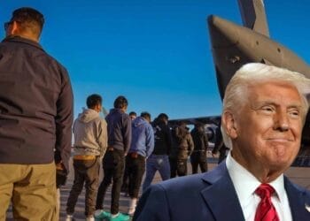 expulsions des etrangers des usa donald trump
