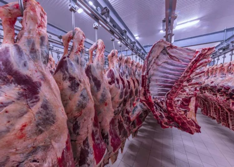 picture caracteristiques viande halal une les