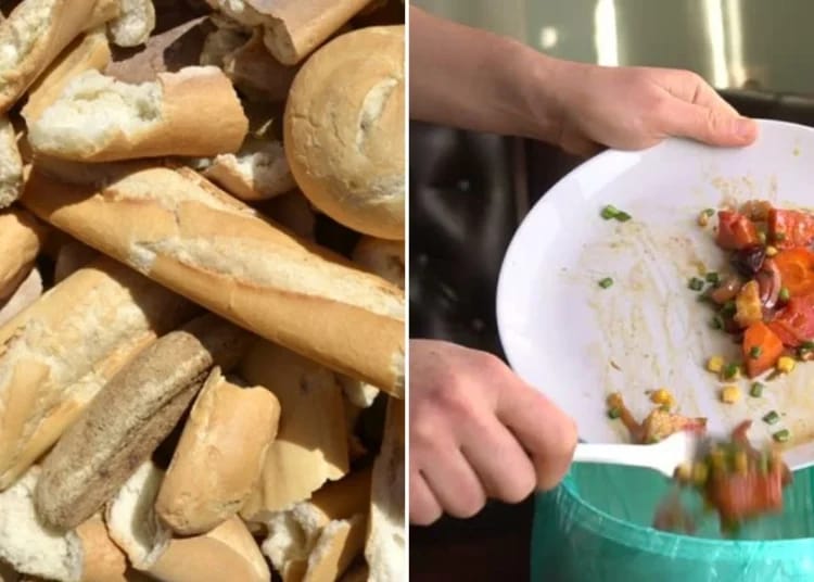 Gaspillage du pain en Algérie : une catastrophe alimentaire en plein Ramadan 2025 ! Gaspillage du pain en Algérie : une catastrophe alimentaire en plein Ramadan 2025 !