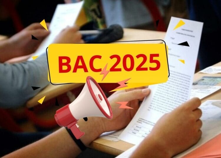 Résultats du BAC 2025 en Algérie : découvrez la date officielle de publication Vise 15/20 au BAC 2025 : cette école prestigieuse recrute déjà les futurs leaders de la banque