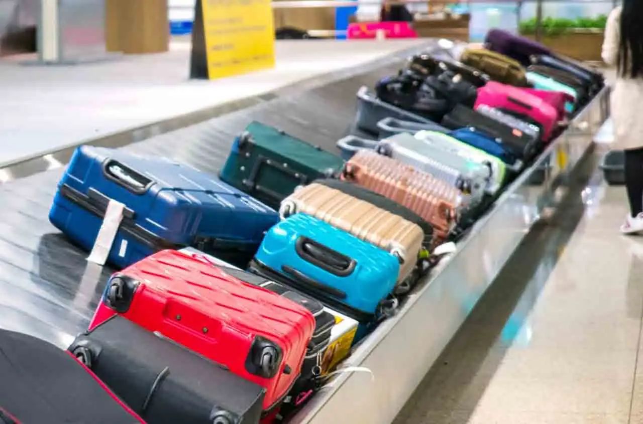 Légalisation du commerce du cabas : quelles conséquences sur le taux de change Dinar Euro ?