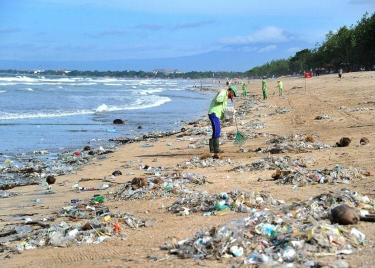 Phénomènes insolites sur les plages en Algérie : découvrez pourquoi ils persistent année après année