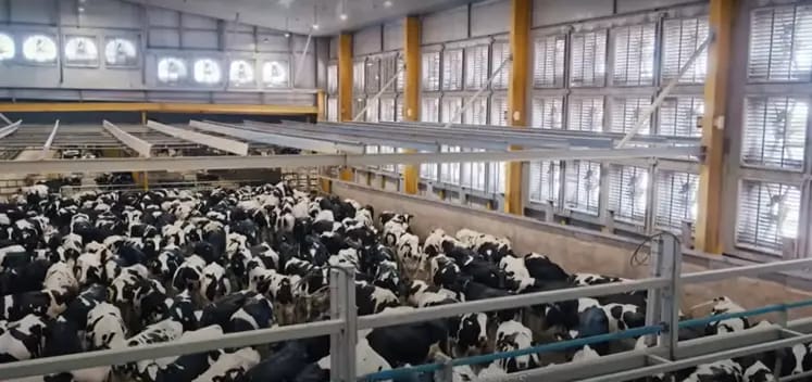 Baladna investit 500 millions de dollars pour lancer une ferme géante en Algérie