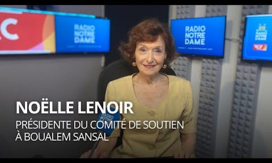 Dérapage de Noëlle Lenoir sur CNews : des accusations choc visant les Algériens enflamment la toile Dérapage de Noëlle Lenoir sur CNews : des accusations choc visant les Algériens enflamment la toile