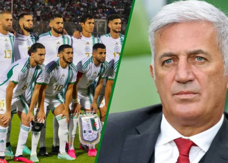 Petkovic écarte un joueur de 3e division française : pourquoi ? Algérie – Uruguay : Petković révèle des surprises dans sa sélection !