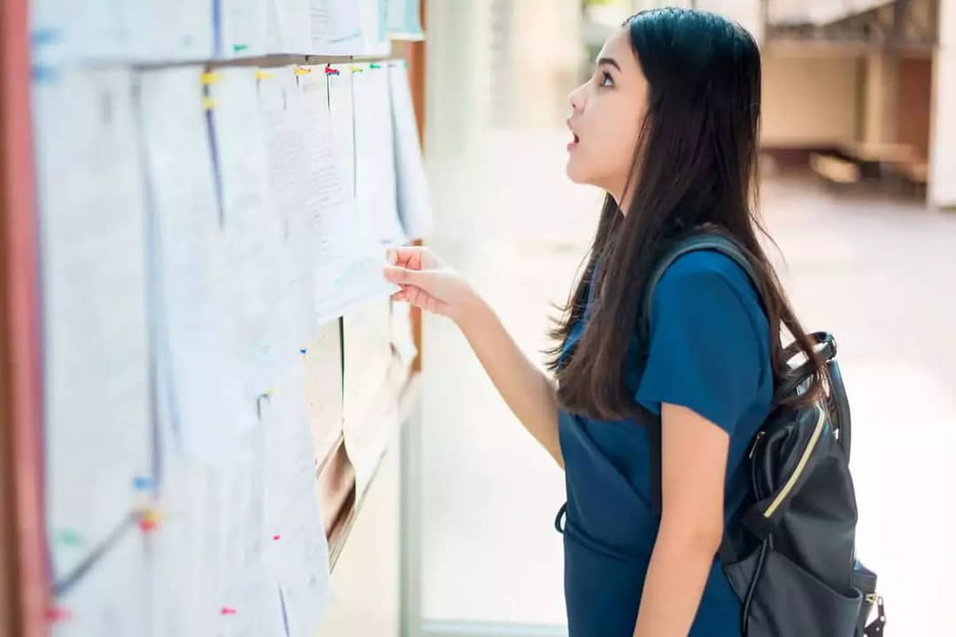 Bourse universitaire 2025 : la demande 100% en ligne dévoilée