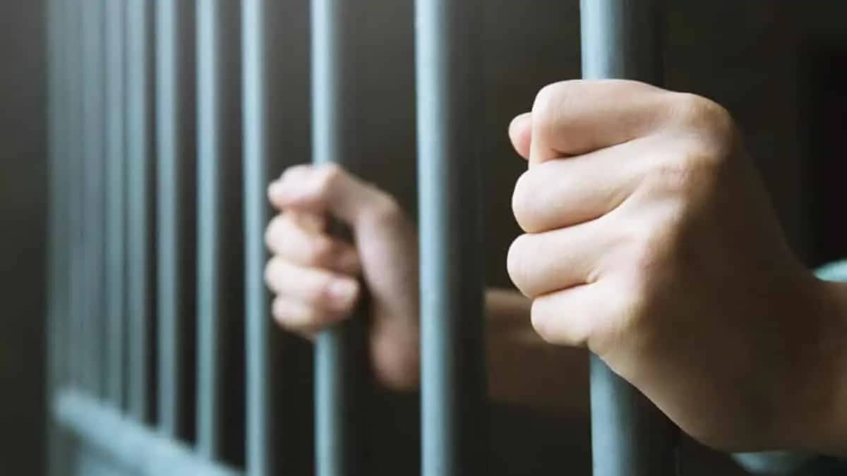 Une peine de prison de 15 mois