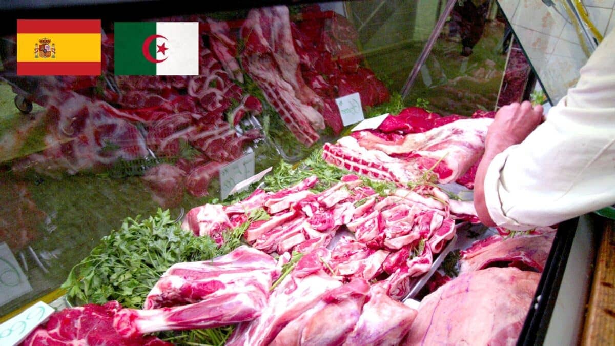 Importation de Viande Fraîche : l'Algérie Autorise les Importations en Provenance d'Espagne Importation de Viande Fraîche : l'Algérie Autorise les Importations en Provenance d'Espagne