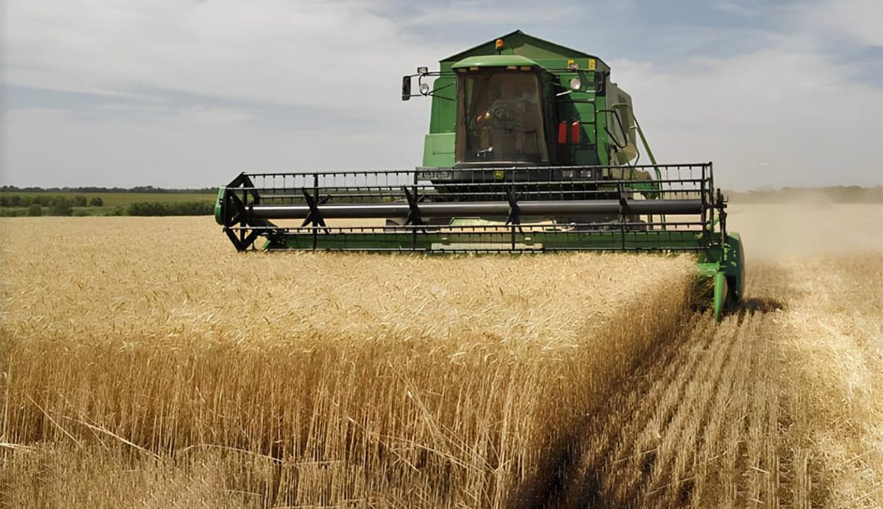 Récolte de céréales 2025 à Oran : un record historique avec plus de 53 000 quintaux récoltés