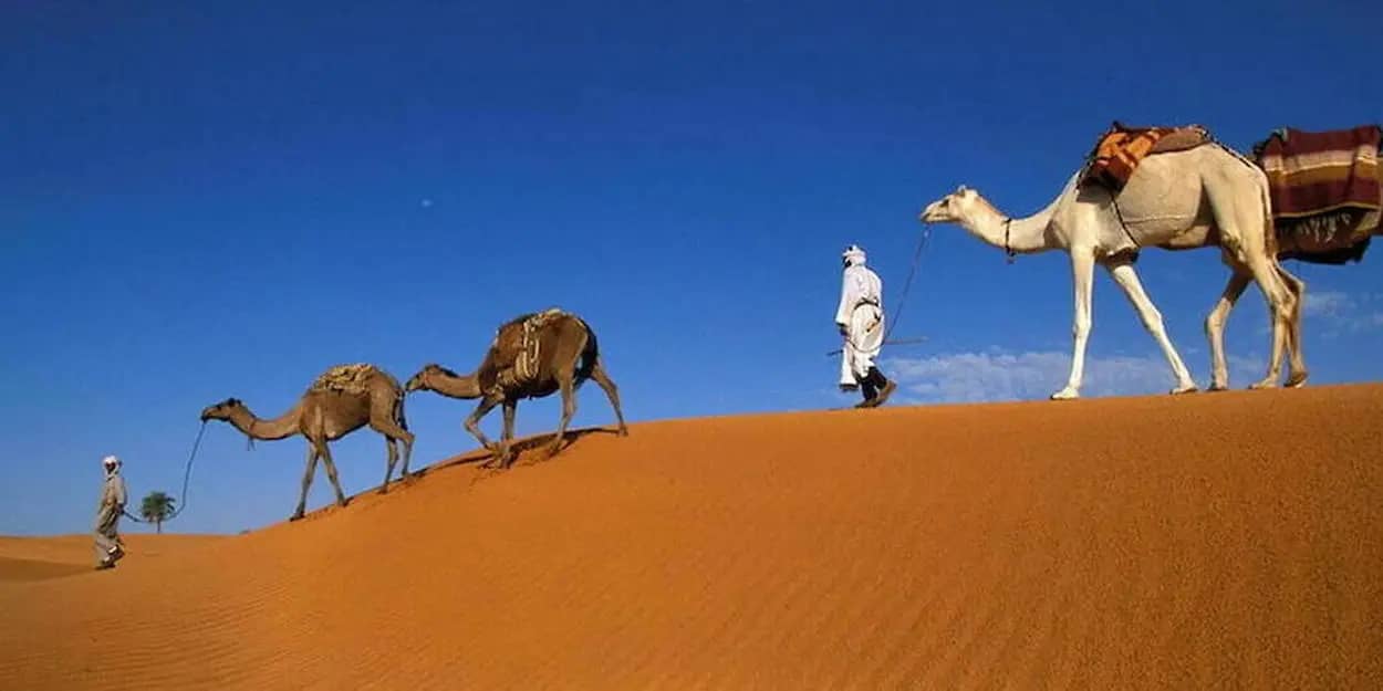 Sud Algérien: L'Oasis de Djanet. Un site touristique en pleine essor après la Covid-19 Sud Algérien: L'Oasis de Djanet. Un site touristique en pleine essor après la Covid-19