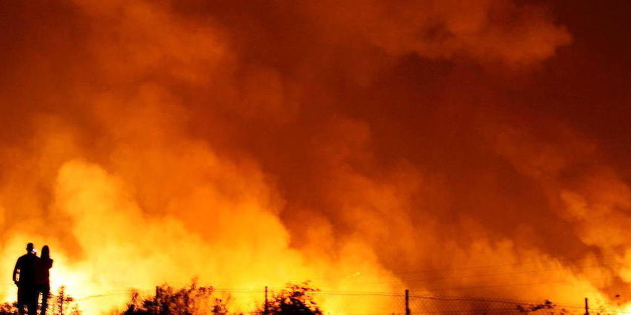 Incendies au Maroc : 3 900 hectares de forêts dévastées