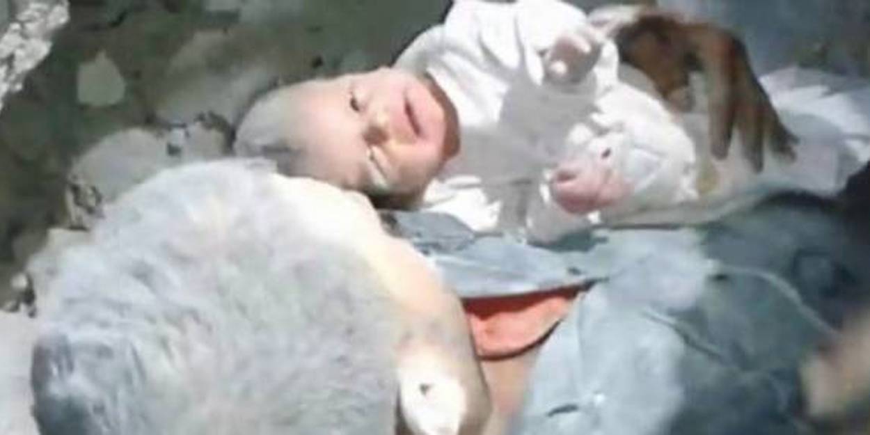 syrie alep sauvetahe bebe 2738889