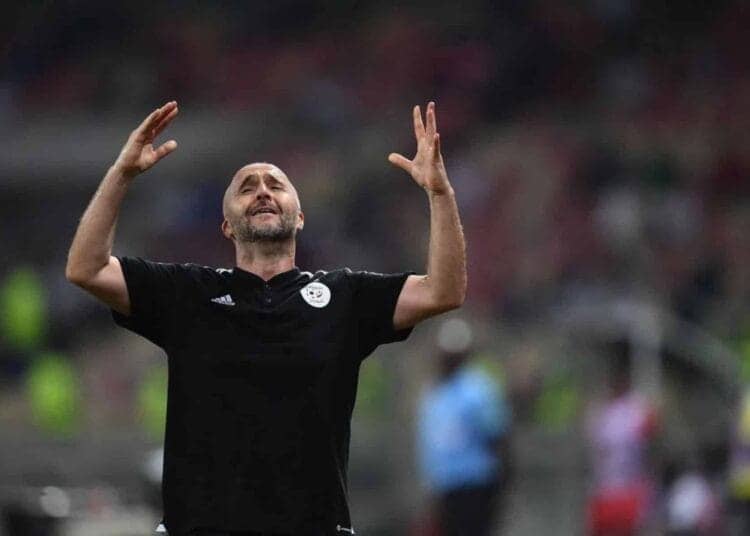 Djamel Belmadi sous pression : l’Emir Cup, dernière chance
