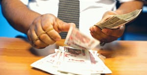 Les métiers verts en plein essor : des opportunités bien rémunérées en France