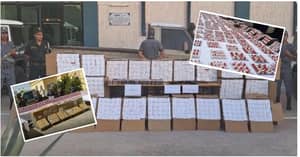 El Oued : 1 million de comprimés hallucinogènes saisis