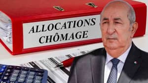 Allocation chômage : l’ANEM fait une annonce importante